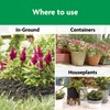 Miracle-Gro Shake 'N Feed All Purpose Plant Food, For In-Ground