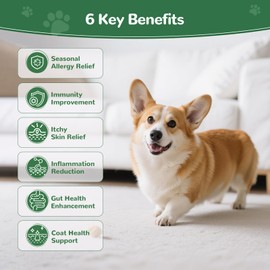 Vetriuntrix Vetriuntrix Allergy Chews, 200PCS Dog Itching Skin Relief with Probiotics Omega 3, Allergy Relief for Dogs Itching Licking Paws, Support Seasonal Allergy, Gut & Digestive Health and Immune System