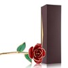 Love Forever Long Stem 24k Gold Foil Trim Red Rose