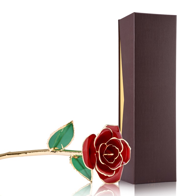 Love Forever Long Stem 24k Gold Foil Trim Red Rose