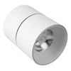 Surface Mounted Anti Glare Led Ceiling Light Foldable Rotating Spotlight