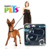 Fancy Pets Correa Retráctil para Perro y Gato Chico Color