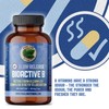 Pure Lab Vitamin | Slow Release Bioactive B Complex |