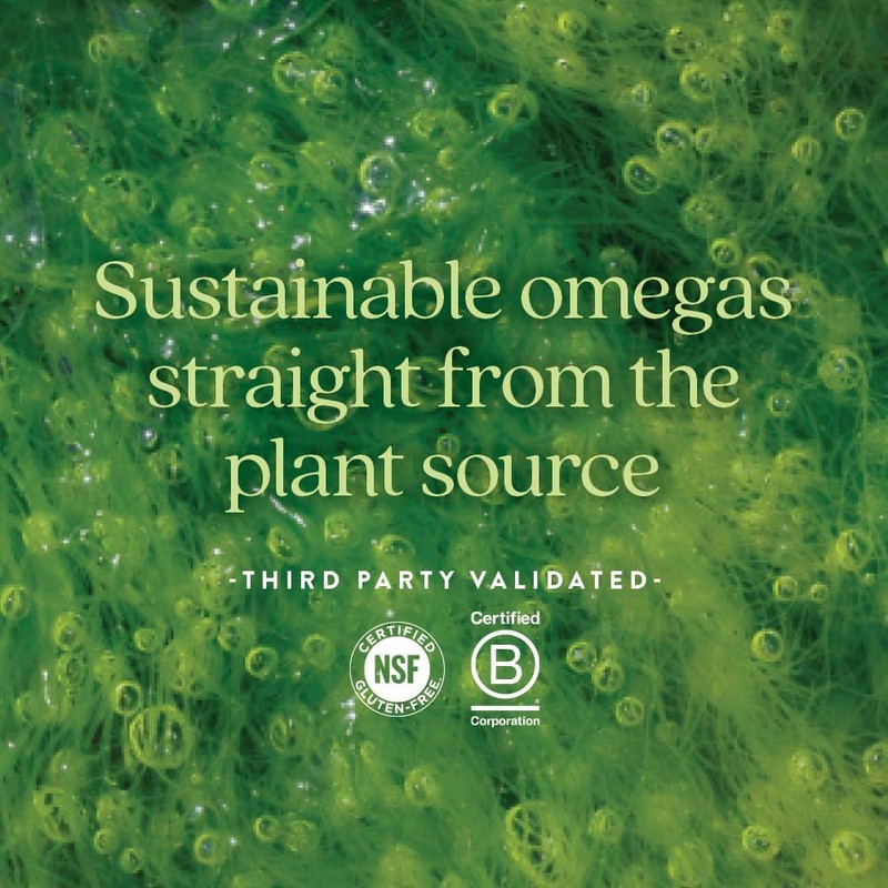 New Chapter Vegan DHA, EPA, and DPA Supplement- Vegan Omega-3