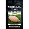 Pink Banana Squash - 25 Seeds