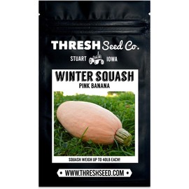 Pink Banana Squash - 25 Seeds