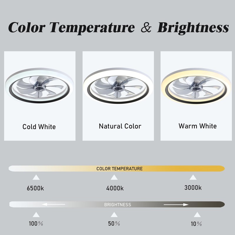 OUREDEEY 20" Ceiling Fan With Lights and Remote, Low Profile,
