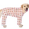 Dog Jumpsuit Prevent Shedding Hair Dog Onesie Surgery Recovery Suit