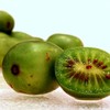 Hardy Kiwi Seeds (Actinidia arguta) Packet of 20 Seeds