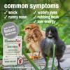 HomeoPet Avian Nose Relief, Safe and Natural Bird and Chicken