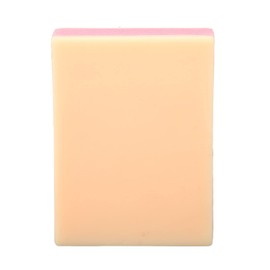 Modelo de Entrenamiento de Sutura, ANGGREK 2 Capas de Piel Modelo de Entrenamiento de Sutura Almohadilla de Práctica de Inyección de Piel Quirúrgica Almohadilla de Práctica de Sutura de Silicona para