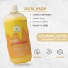 Shampoo De Miel Hidratante Productos Mart Mexico 500 Ml