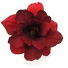Red Apple Blossom Silk Hair Comb