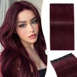 Real Hair Extensions Clip in Human Hair,SEGO One Piece Five Clips Human Hair Extensions Long Straight Human Hair Clip in Extensions,8inch Wine Red,40g