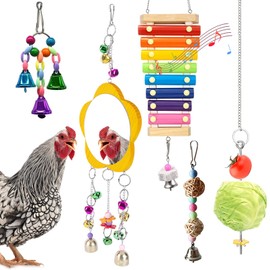 BNOSDM 5 Packs Chicken Xylophone Toy for Hens Chicken Mirror Toy with Bell Chicken Coop Toys and Accessories Veggies Skewer Fruit Holder Vegetable Hanging Feeder for Chicks Hens Roosters