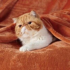 Bedsure Cuddly Fluffy Fleece Blanket, Warm Winter Soft Sofa Blanket, Small Blanket, Couch Blanket, Cuddly Blanket, Children's Living Blankets, 130 x 150 cm, Sofa Throw Blanket, Orange