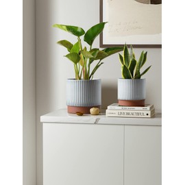 LE TAUCI Ceramic Pots for Plants, 8+6.7+5.5 Inch Plant Pots Indoor, Flower Pot with Drainage Holes, Medium Cylinder Planters for Indoor House Plants, Set of 3, Reactive Glaze White