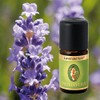 Primavera Organic Fragrance Oils for Aromatherapy 5 ml Each Scent: