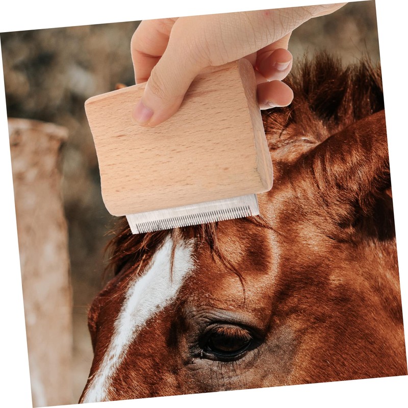 Kisangel 2pcs Grooming Tools Deshedding Brush Horse Hair Comb Comfortable