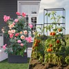 2 Packs Raised Garden Bed Tomato Planter Box with Trellis,