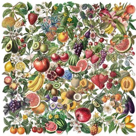 BSITSSS 100 Stück Obst Aufkleber, Tomaten Erdbeeren Gurken Scrapbook Stickers Aesthetic, Tropische Früchte Vintage Sticker für Scrapbook Wasserflaschen Laptops Party Gefallen Reisekoffer Journal