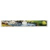 Judaica Place Asher Yatzar Laminated Card 5" x 7.5"