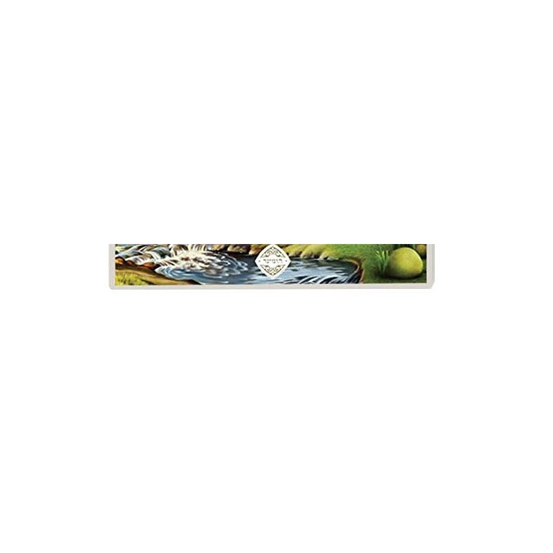 Judaica Place Asher Yatzar Laminated Card 5" x 7.5"