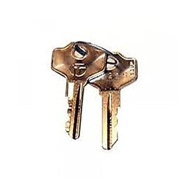 Liftmaster 041ASWG-0119 Set of Release Keys LA500 Commercial Swing Gate Opener, Also Known as: 41ASWG-0119