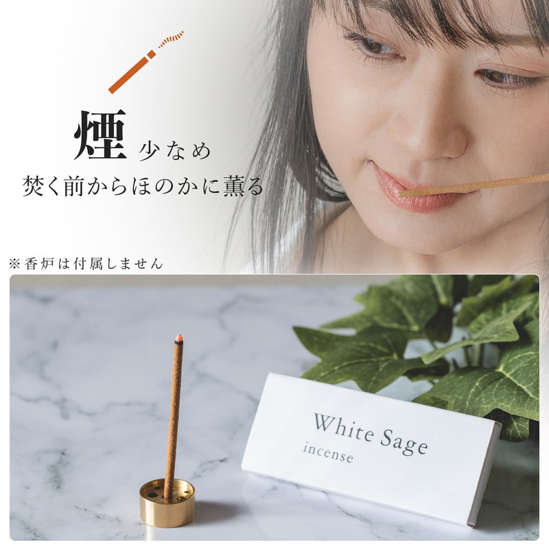 DANNY LIB White Sage Incense, Short, 10 Sticks, Burning for