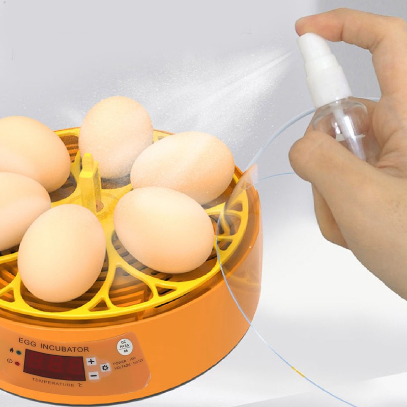 Egg Incubator 6 Eggs Smart Egg Hatchery Temperature Control Manual