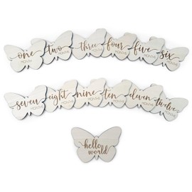 Baby Monthly Milestone Cards, Wooden Discs, Gender Neutral, Butterfly Shaped, Baby Shower Gifts (Butterfly)