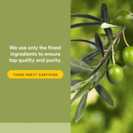 Natural Factors Hoja De Olivo 500mg 90 Cápsulas Sfn Sin Sabor