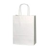 We Can Source It Ltd – Decomposable White SOS Kraft Paper Luxury Party Bag with Twist Handles – Small Size Paper Bag – Fully Compostable & Biodegradable – For Indian Chinese Takeaway – 10Pc