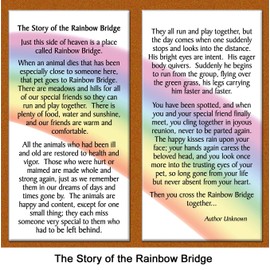 Pet Lover Remembrance Gift, "Rainbow Bridge", Memorial Pet Loss Picture Frame and Sympathy Gift Package, with optional custom photo editing, Black with Foil Accent