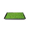 White Stem Pak Choi Cabbage Seeds: 5 Lb - Bulk,