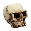 Skull Head Flower Pot Resin High Strength Clear Shape Skull