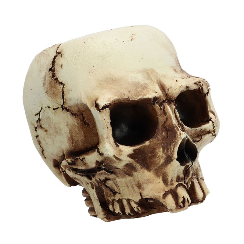 Skull Head Flower Pot Resin High Strength Clear Shape Skull