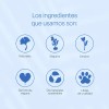 Corrector En Barra De Ingredientes Naturales Teia Cosméticos Tono Claro