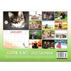 Cute Cat Calendar 2025