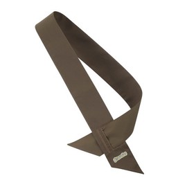 Brownie Uniform Sash (X-Long)