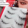 5 Pairs Cat Eyes Fox Eyelashes 3D Natural Look Transparent