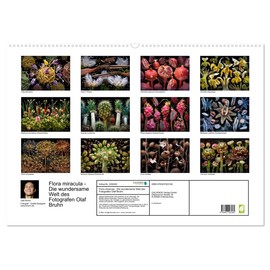 Flora miracula - Die wundersame Welt des Fotografen Olaf Bruhn (Wandkalender 2026 DIN A2 quer), CALVENDO Monatskalender