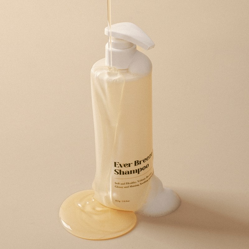 Pitoriviere Everbreeze Hair Strengthening Shampoo / 피토리비에르 에버브리즈 모발 강화