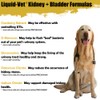 Liquid-Vet by COOL PET Holistics K9 Kidney & Bladder Advanced