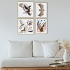 FINGERINSPIRE 4 PCS Eagle Design Painting Stencil with 1Pc Plastic