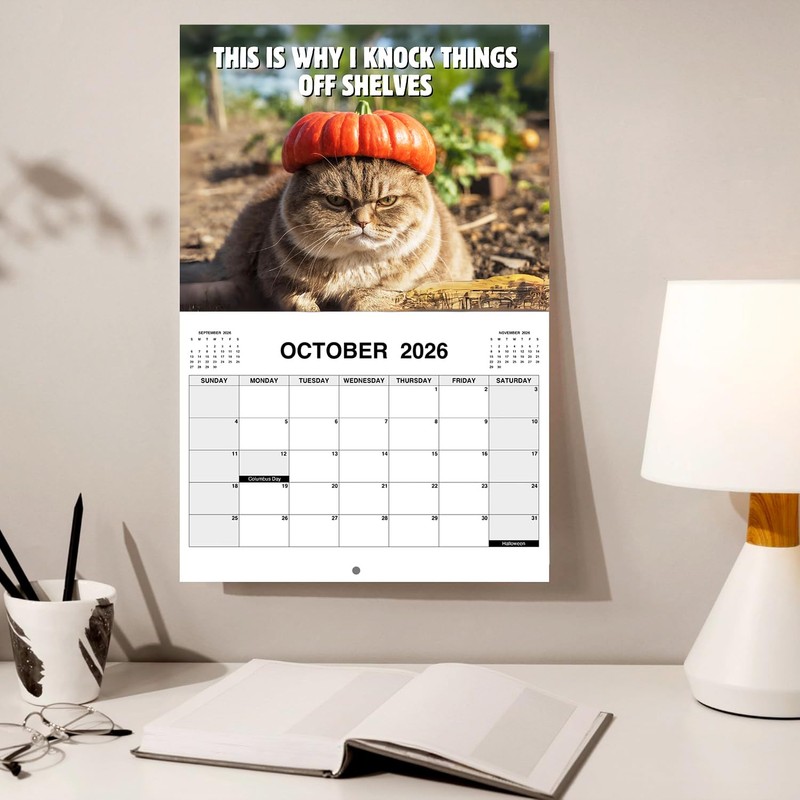 2025 Peed-Off Cats Calendar - Funny Cat Themed Gifts For