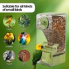 Bird Feeder No Mess 2PCS Automatic Clear Bird Seed Food