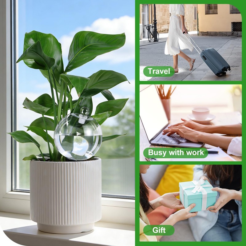 2 Pack 26 oz Extra Large Plant Self Watering Globes