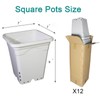 Gyfofix HG7X7SW 7"x7" Square White Pot, 9" Tall Pack of