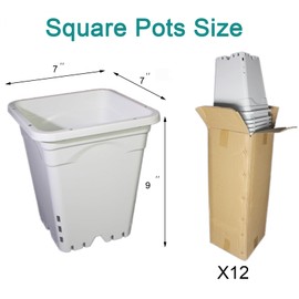 Gyfofix HG7X7SW 7"x7" Square White Pot, 9" Tall Pack of 12
